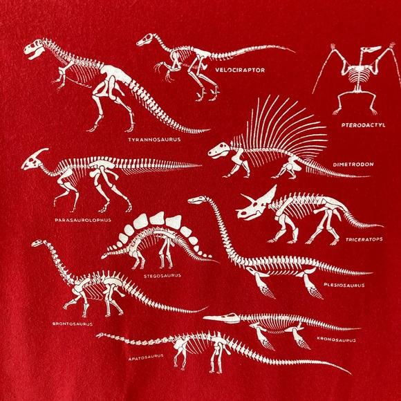 Gap Boy’s Short Sleeves Cotton 3 Packs Tshirt -Used Sz S- Red-White-Green - Picture 9 of 16